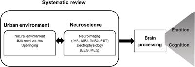 Frontiers | Cities and neuroscience research: A systematic